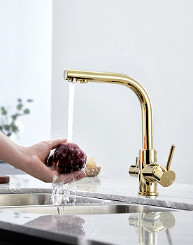 Смеситель для кухни Paulmark Essen Es213011-G Золото