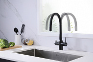 Смеситель для кухни Paulmark Salix Sa213419-418 Черный металлик