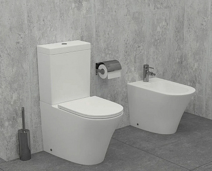 Унитаз Jacob Delafon Rodin+ UJAB102-00 без бачка и сиденья
