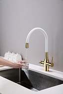 Смеситель для кухни Paulmark Salix Sa213419-Gw Золото Белый