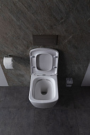 Унитаз Allen Brau Liberty 4.33004.20 подвесной Белый без сиденья