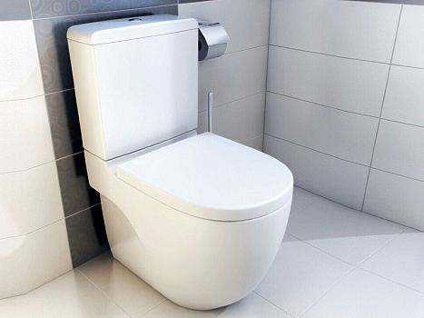 Унитаз компакт Roca Meridian 342248000 без бачка и сиденья