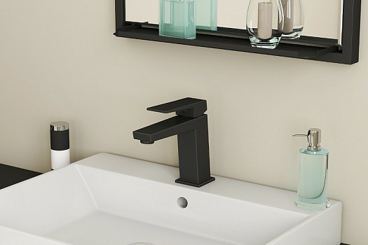 Смеситель для раковины Rush Thira TR3635-12Black Черный