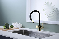 Смеситель для кухни Paulmark Salix Sa213419-G Золото