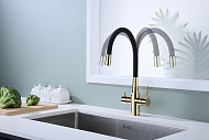 Смеситель для кухни Paulmark Salix Sa213419-G Золото