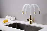 Смеситель для кухни Paulmark Salix Sa213419-Gw Золото Белый