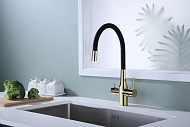 Смеситель для кухни Paulmark Salix Sa213419-G Золото