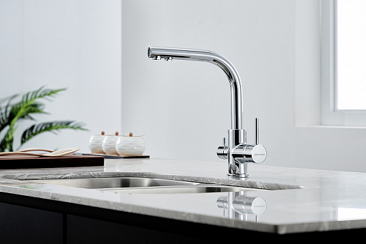 Смеситель для кухни Paulmark Essen Es213011-CR Хром